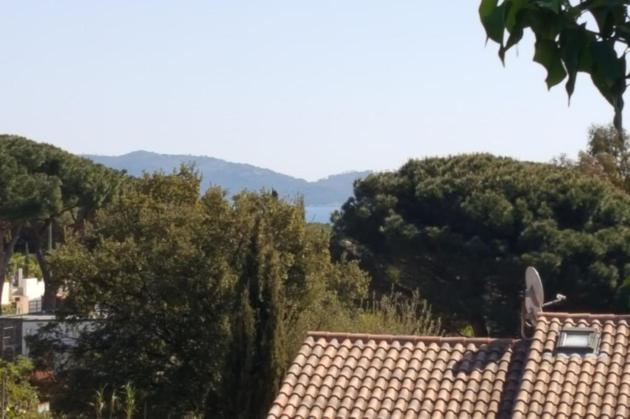 Villa Les Figuiers キャバレール・シュル・メール エクステリア 写真